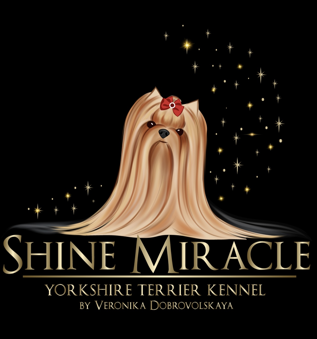 SHINE MIRACLE — Labaza DogPedigree YorkshireTerrier