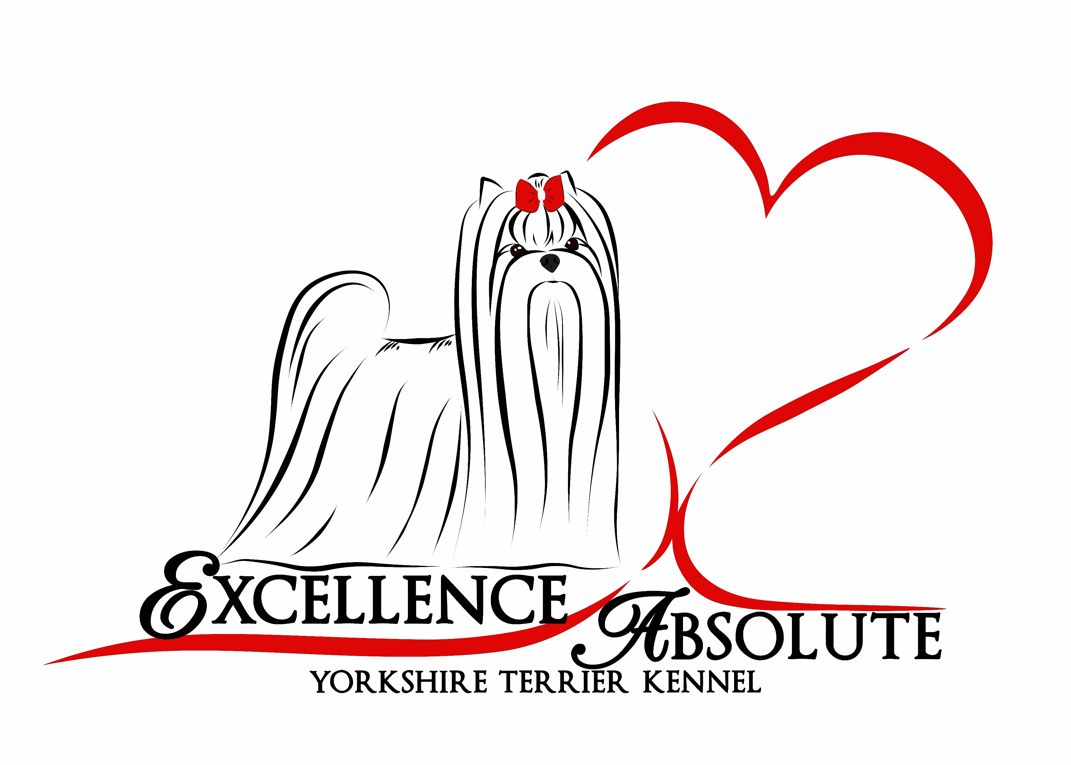 EXCELLENCE ABSOLUTE — Labaza DogPedigree YorkshireTerrier