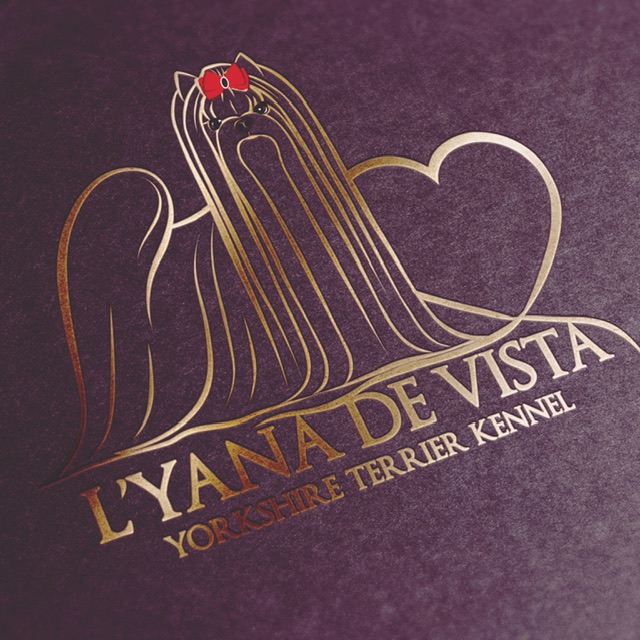 L’Yana De Vista — Labaza DogPedigree YorkshireTerrier
