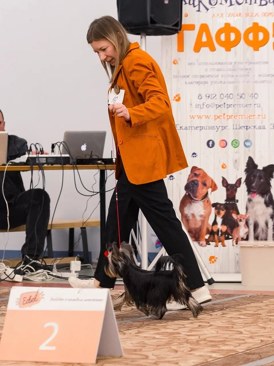 IRESK'S SHEVAN-EN-PAYER — Labaza DogPedigree YorkshireTerrier