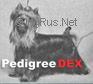 LISTER DU BOIS BASSELIN — Labaza DogPedigree YorkshireTerrier