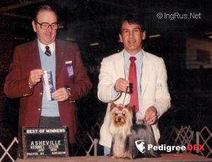  ESTUGO'S DINKEL DUKE — Labaza DogPedigree YorkshireTerrier