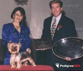 PARKSIDE'S ODE TO JOY — Labaza DogPedigree YorkshireTerrier