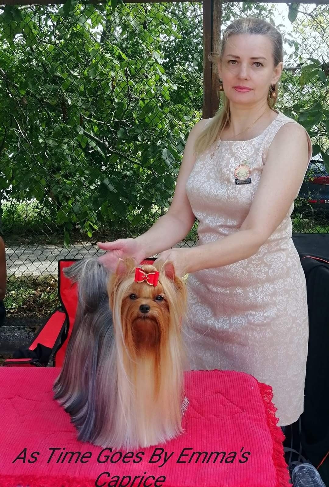 Emma`s Caprice AS TIME GOES BY EMMA'S CAPRICE — Labaza DogPedigree YorkshireTerrier