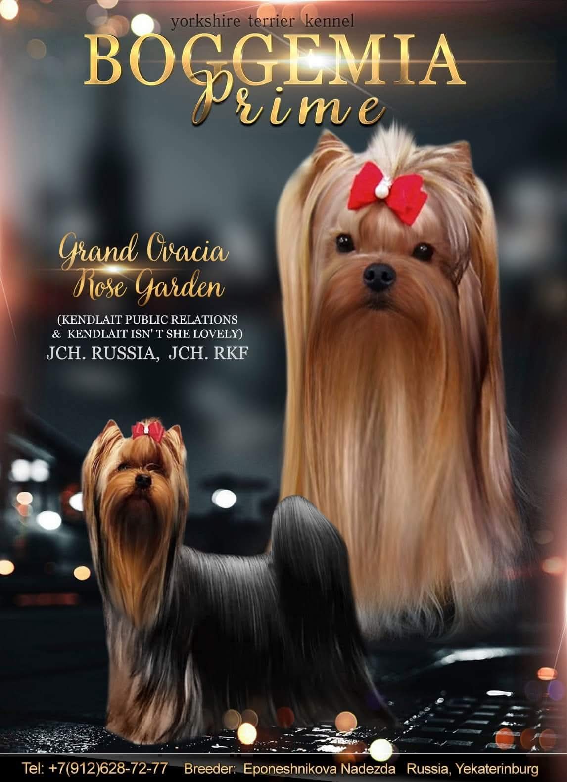 GRAND OVACIA ROSE GARDEN