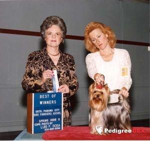 PARKSIDE`S SILHOUETTE — Labaza DogPedigree YorkshireTerrier