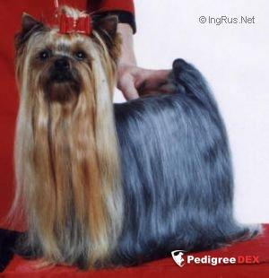 ORLANDO HOCCO JORETA