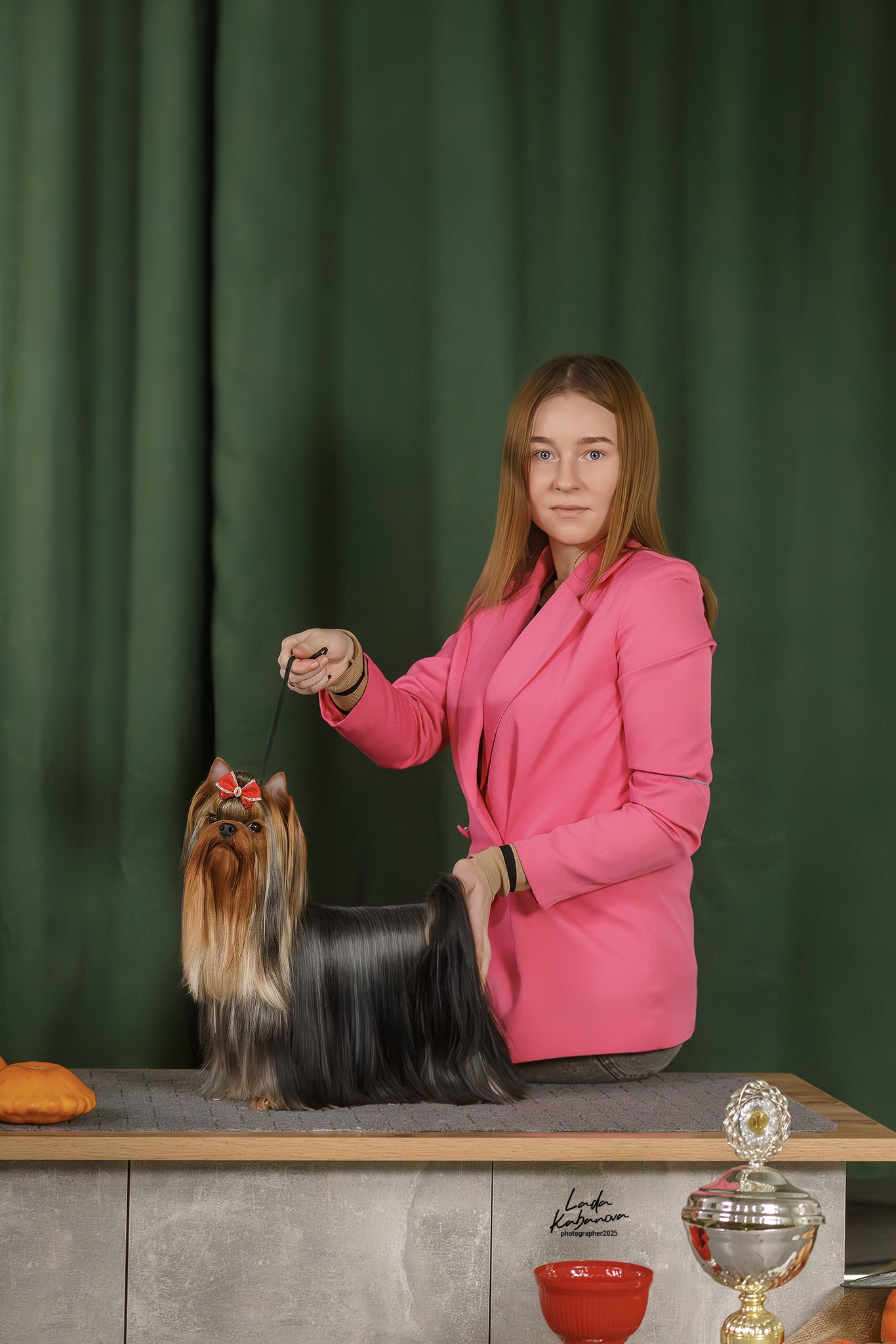 ARINABAKLAGA — Labaza DogPedigree YorkshireTerrier