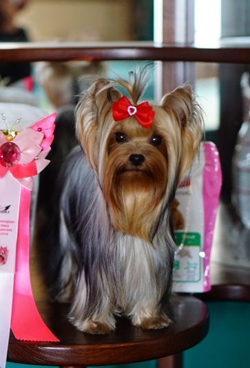 GRATSIYA GIFT OF HEAVEN