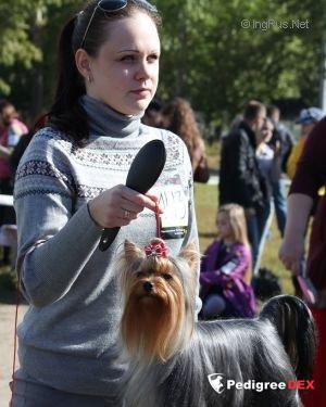 GLAMOUR GALAXY YUNIVERS OF MAGIC