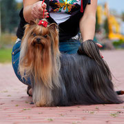 5890_6885dc0639d14.jpg