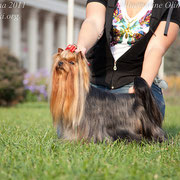 5890_6885dc063a080.jpg