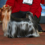 5892_6885de2d8e6f3.jpg