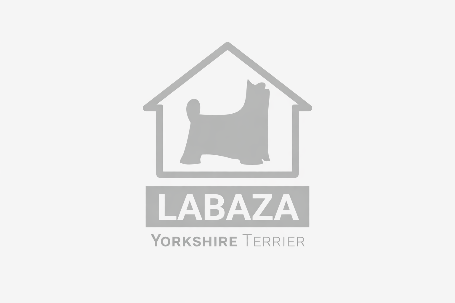 Zanna31 &mdash; Labaza DogPedigree YorkshireTerrier