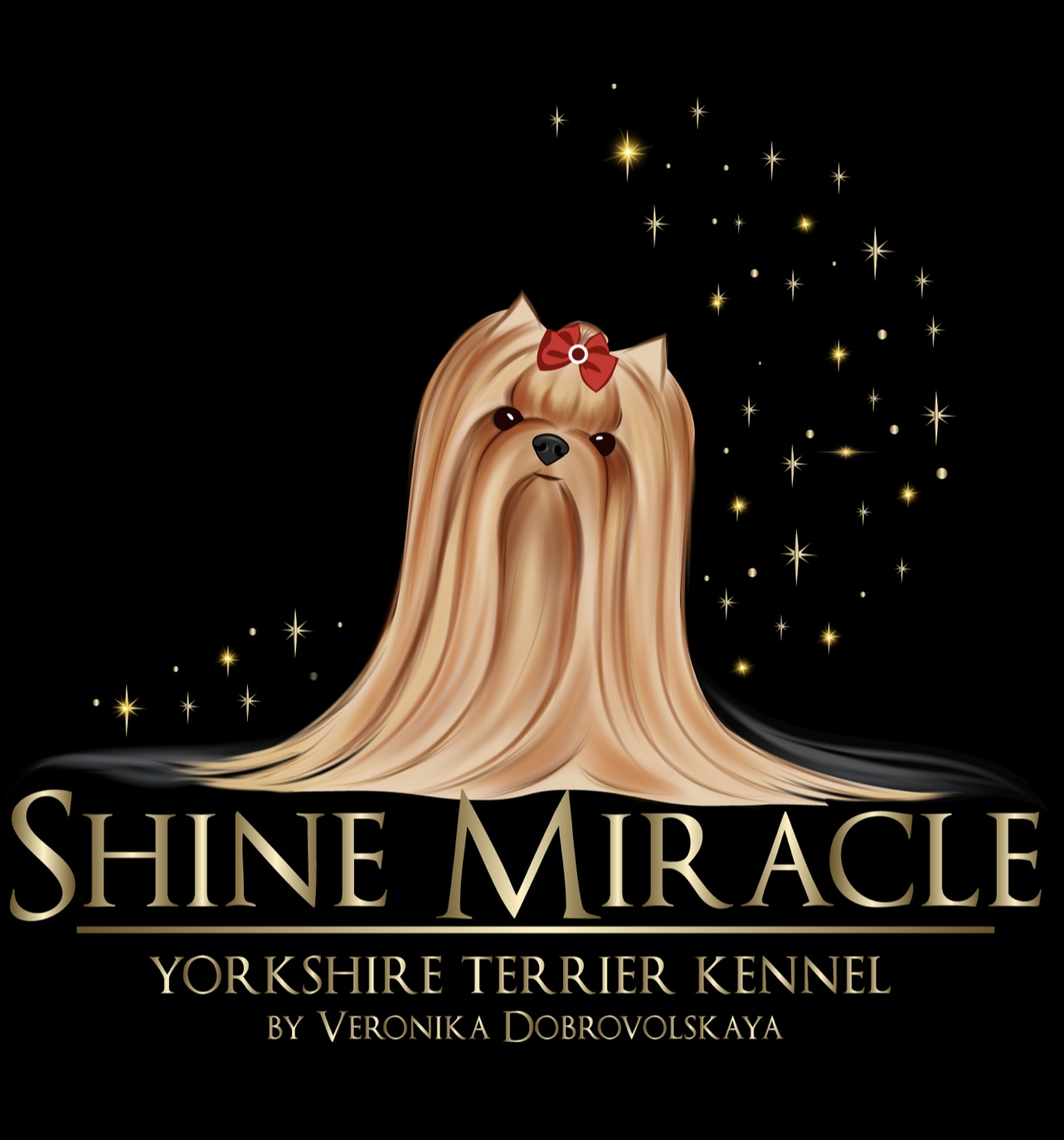 Shine Miracle — Labaza DogPedigree YorkshireTerrier