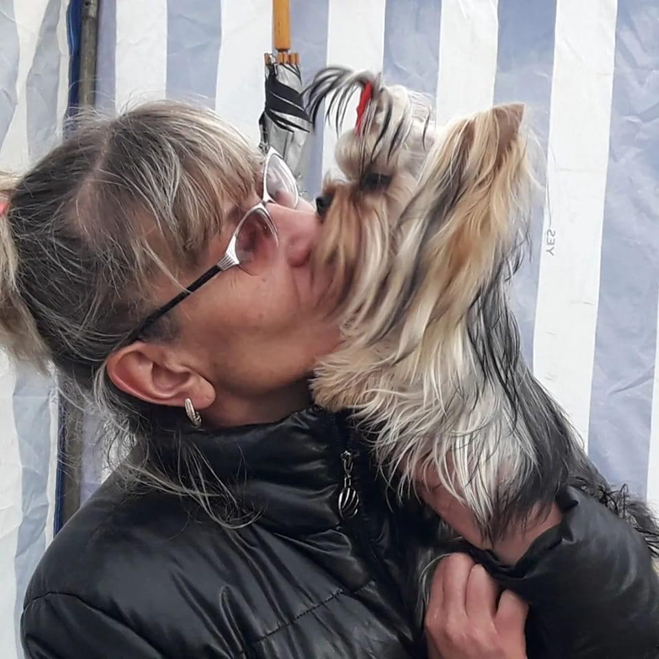 VENERA — Labaza DogPedigree YorkshireTerrier