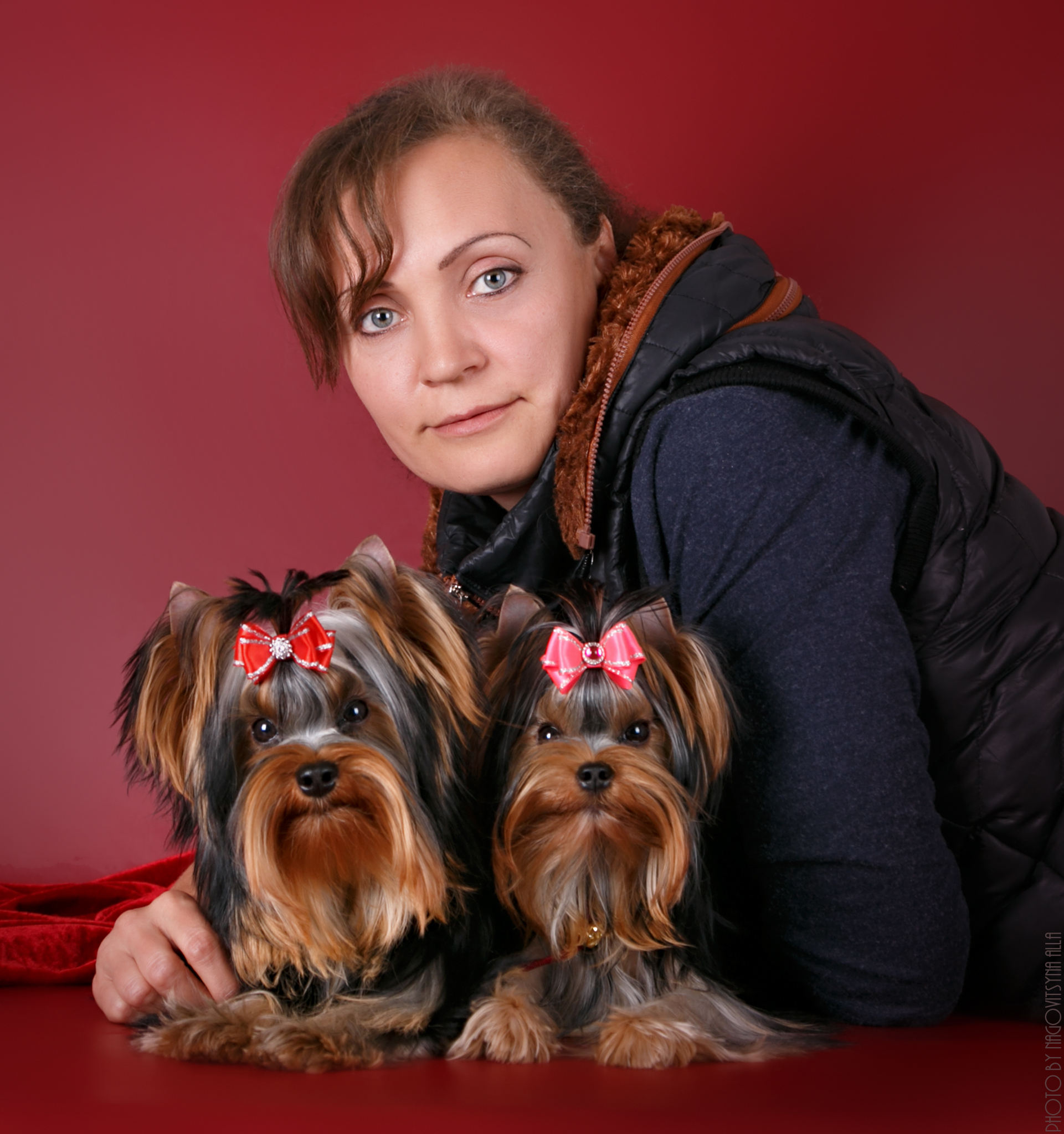 Magnus Fortuna — Labaza DogPedigree YorkshireTerrier