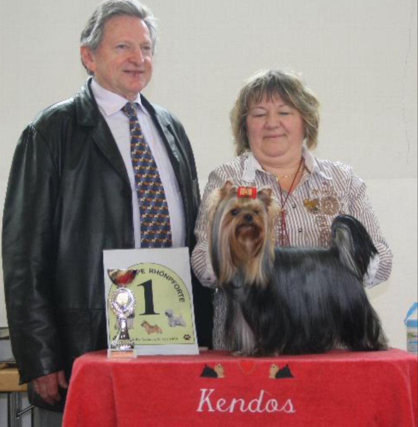 KENDOS' MONTECITO — Labaza DogPedigree YorkshireTerrier