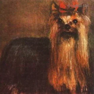  TROUBLE MAKER OF MILLMOOR — Labaza DogPedigree YorkshireTerrier