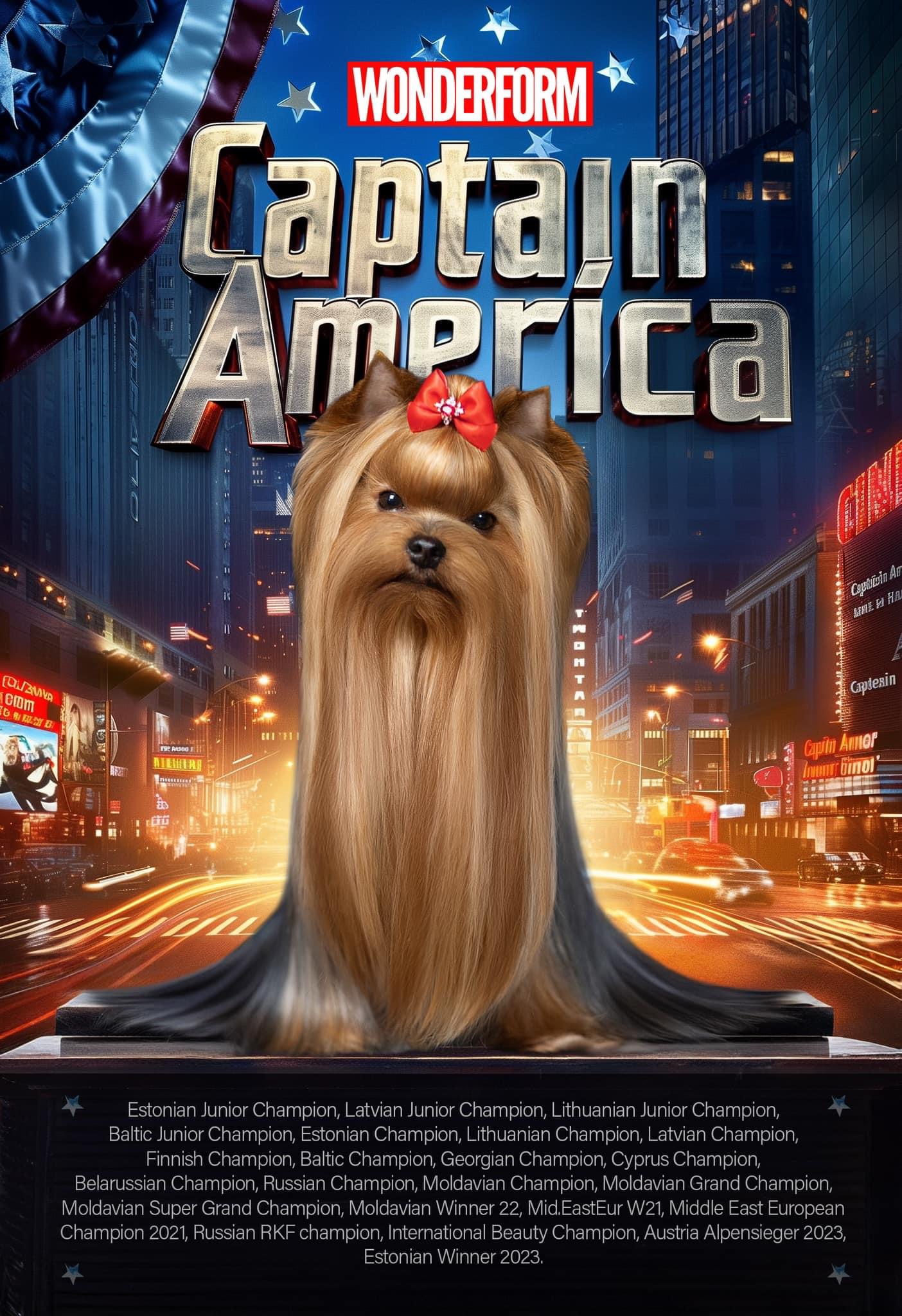  WONDERFORM CAPTAIN AMERICA — Labaza DogPedigree YorkshireTerrier