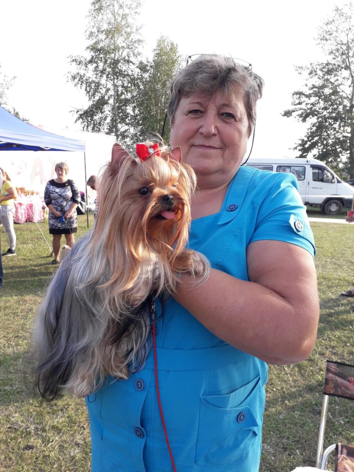 LAKKI CMAIL HOT KISS AYMI — Labaza DogPedigree YorkshireTerrier