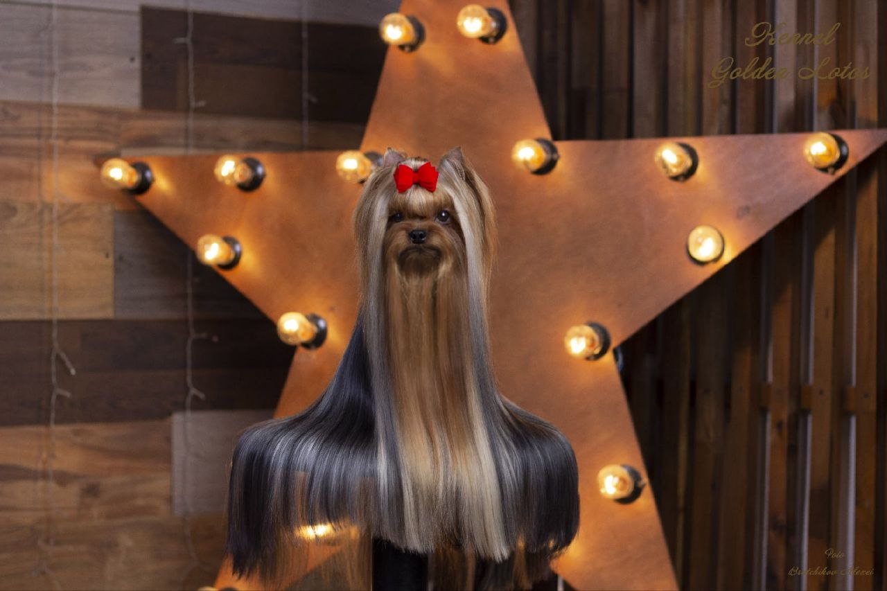 RUS MIRIAN STYLE MAGIC