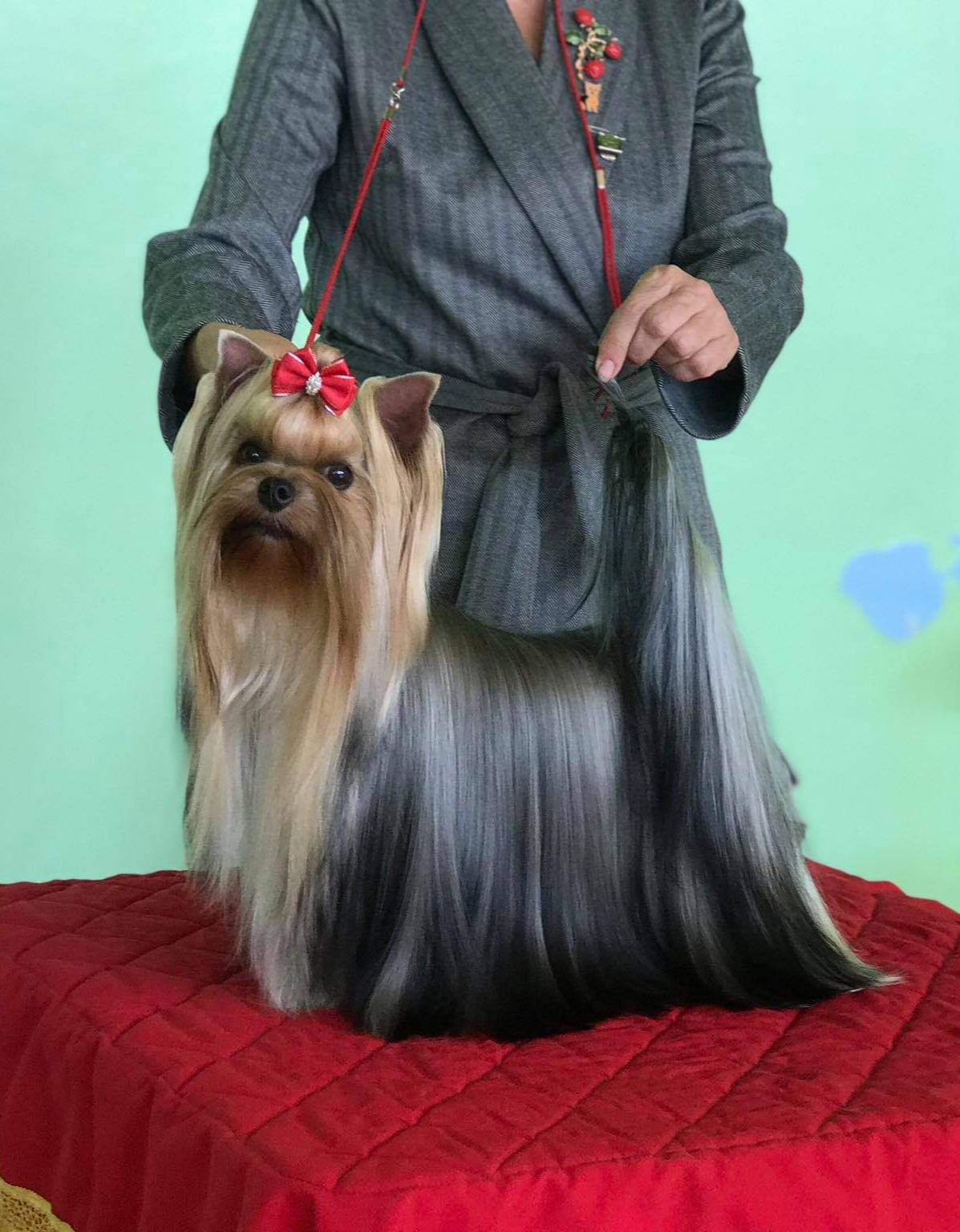 DELEGIT FATI YURATA-II