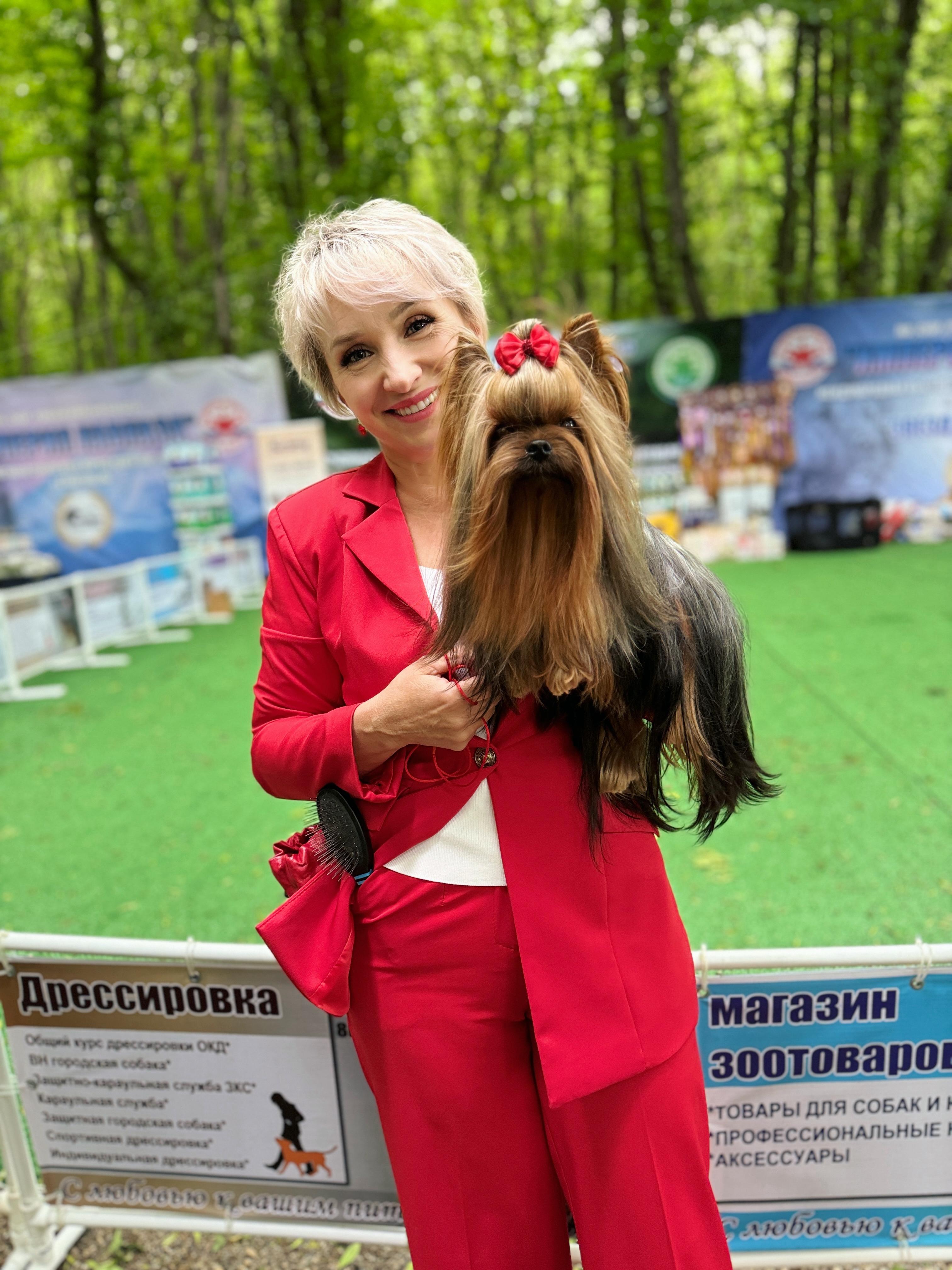 Женевьева — Labaza DogPedigree YorkshireTerrier