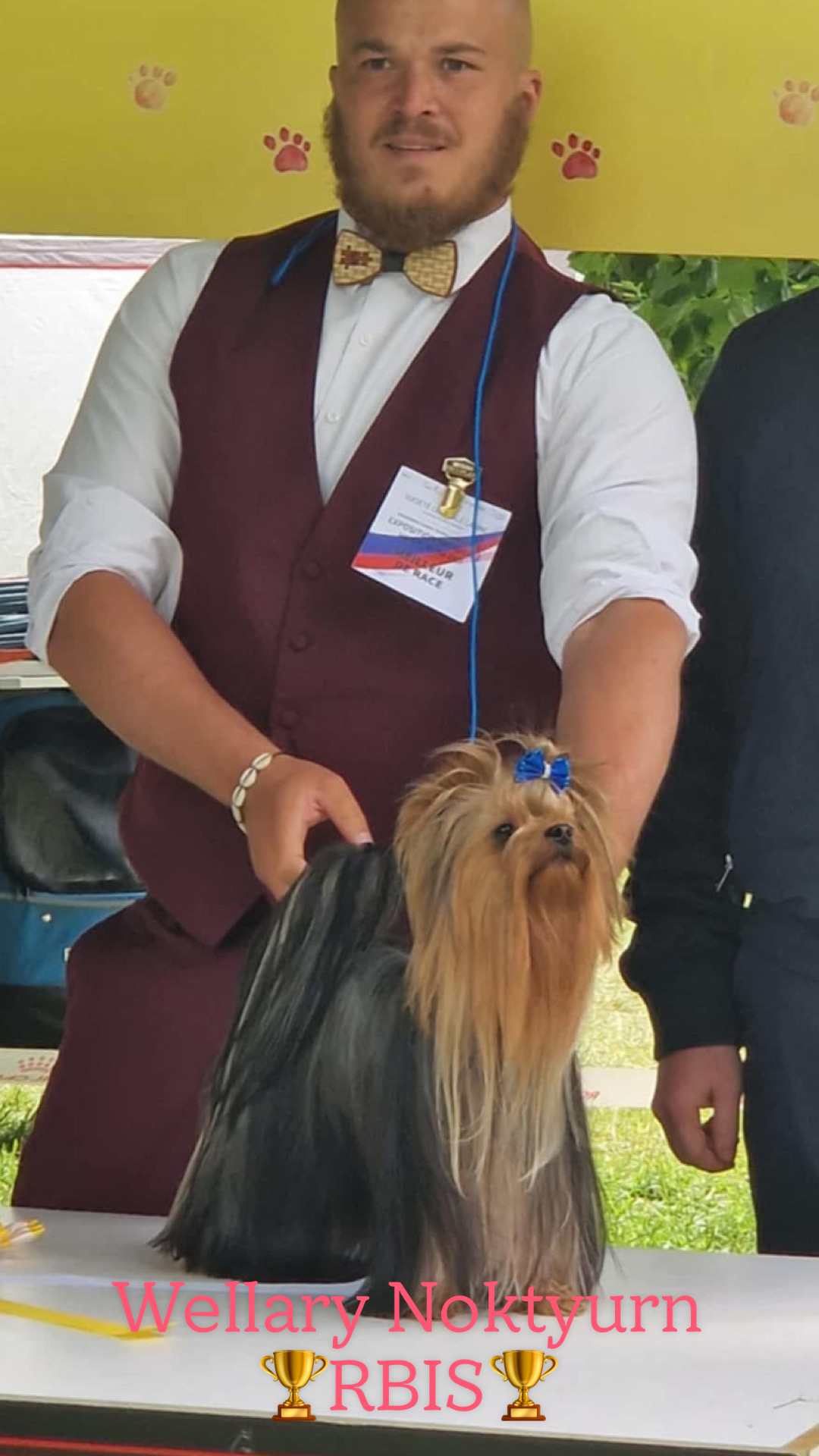 Wellary WELLARY NOKTYURN — Labaza DogPedigree YorkshireTerrier