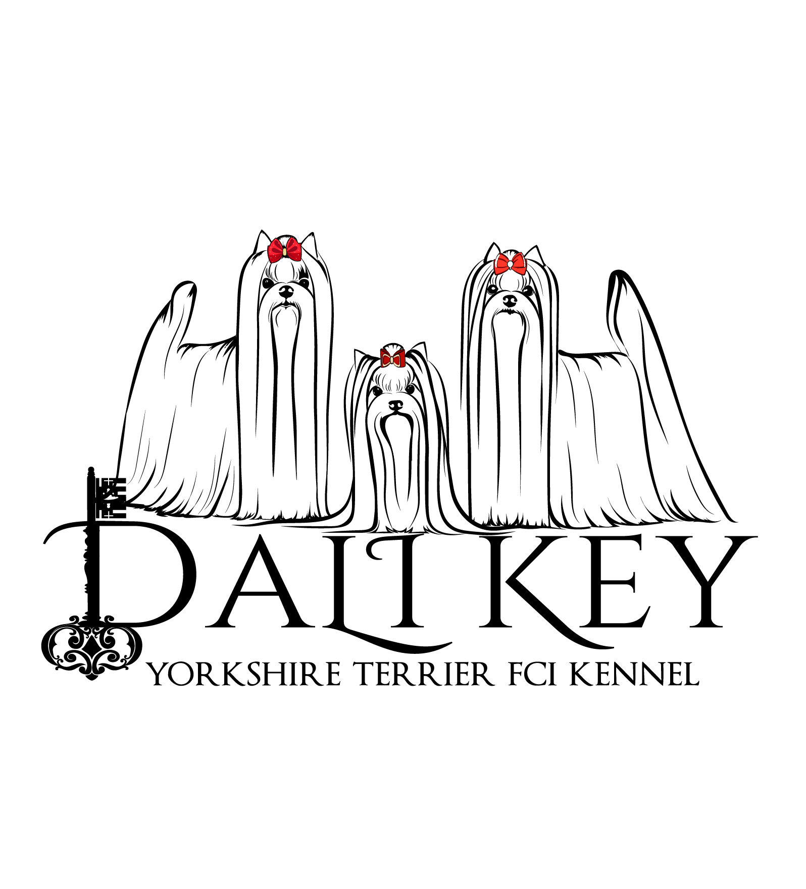DALI KEY — Labaza DogPedigree YorkshireTerrier
