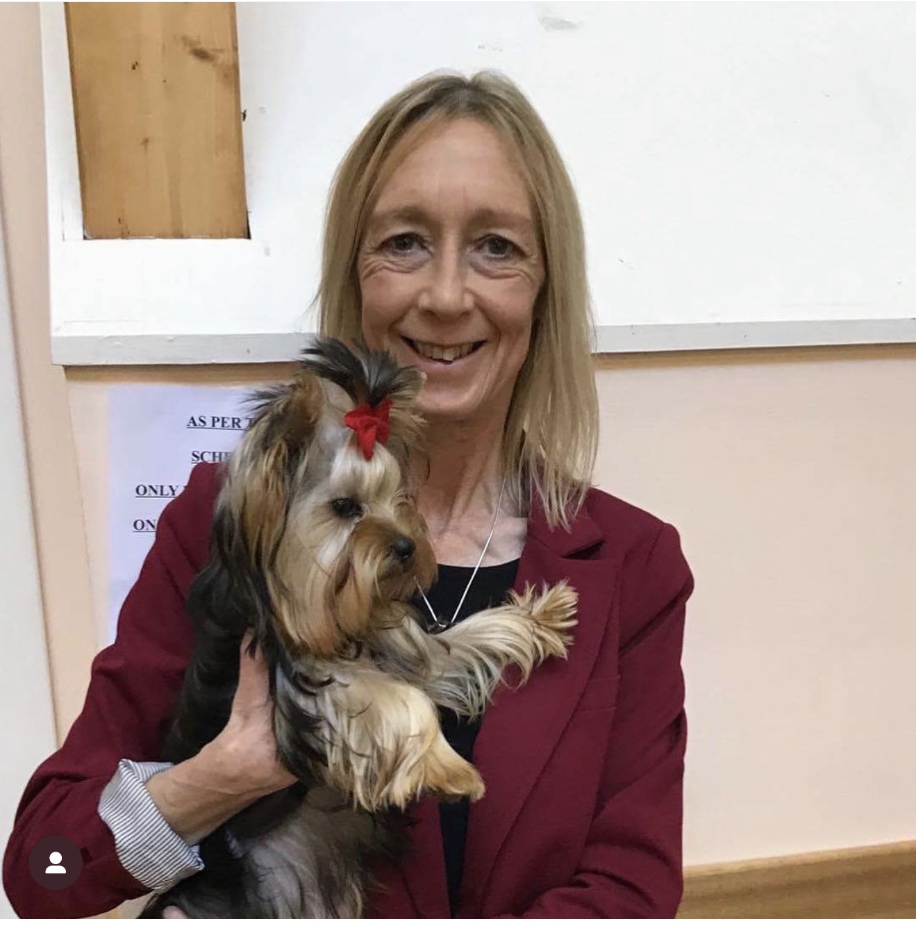 DEANJE DEANJE AMBITION — Labaza DogPedigree YorkshireTerrier