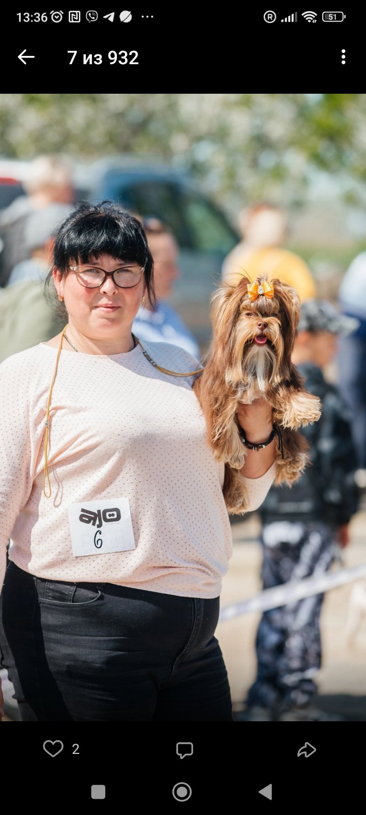 Bestfil — Labaza DogPedigree YorkshireTerrier