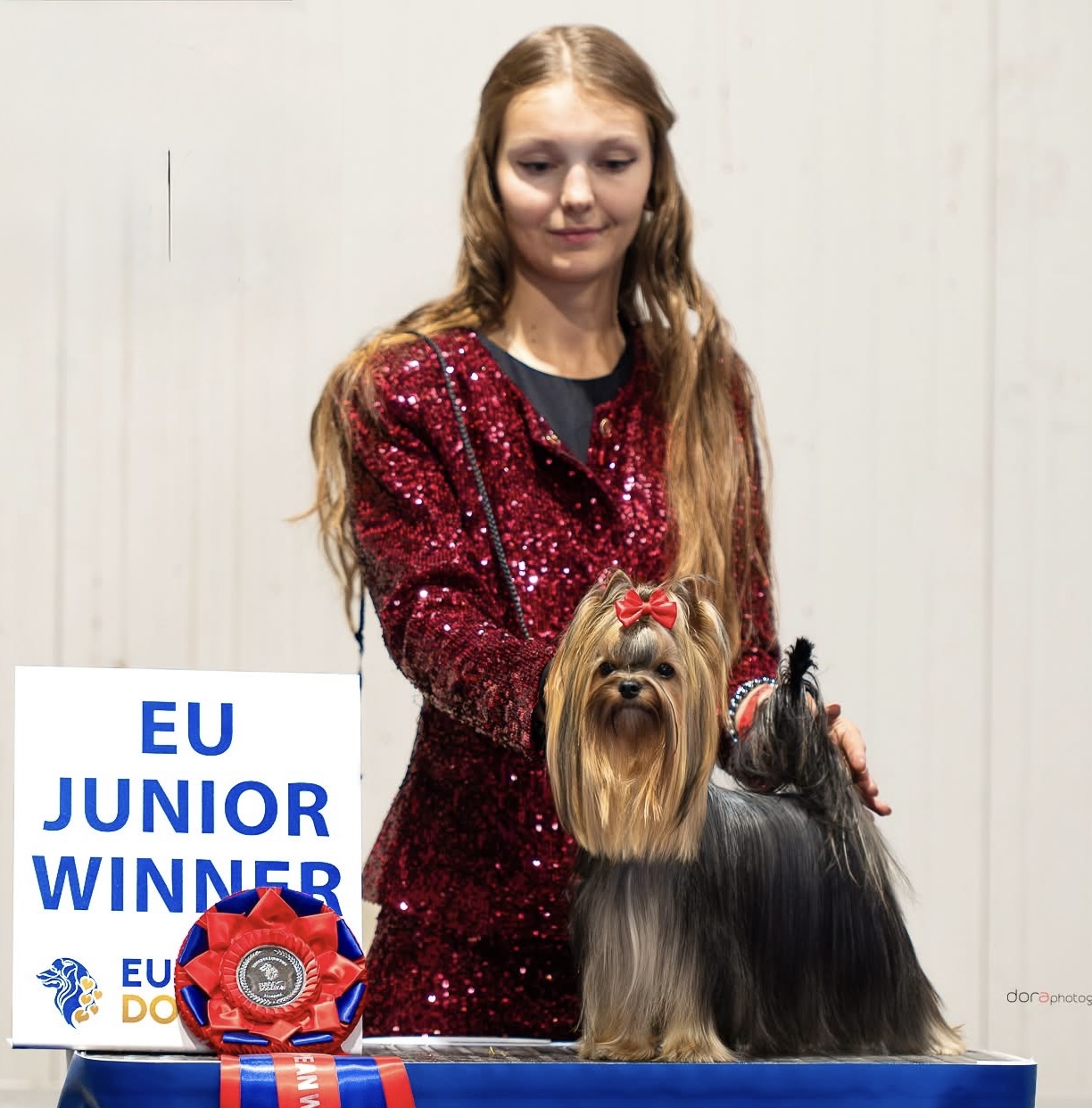 I LOVE YOU SHARBEST — Labaza DogPedigree YorkshireTerrier