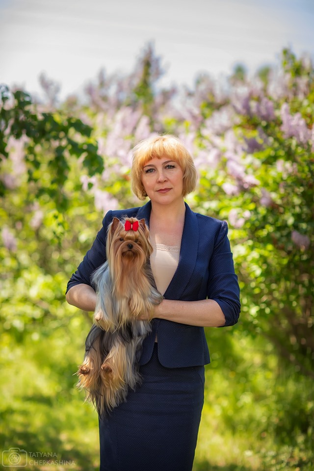 Ирина — Labaza DogPedigree YorkshireTerrier