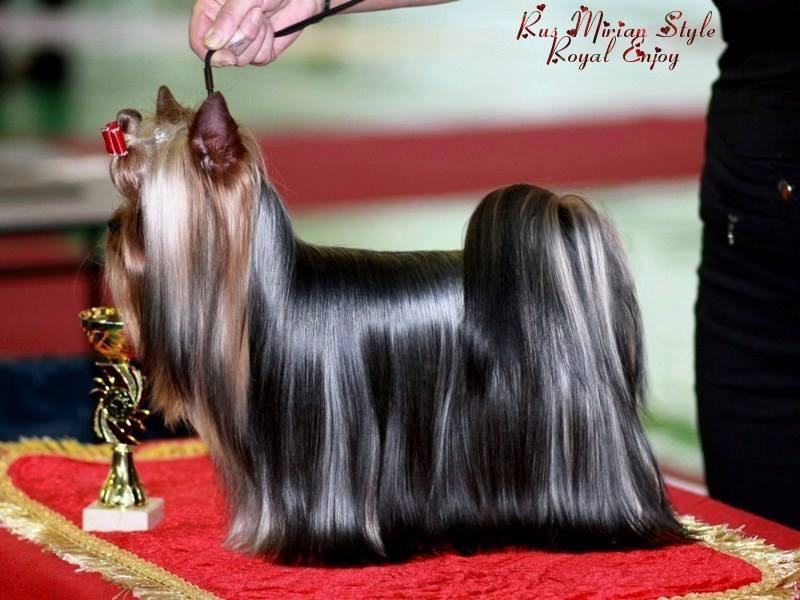 RUS MIRIAN STYLE ROYAL ENJOY