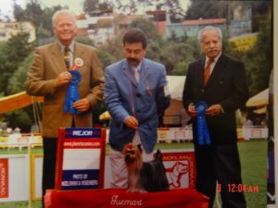 GUEMART'S VIVA MEXICO