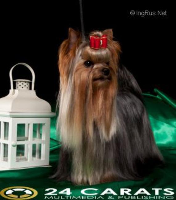 Rigair Warm Up Canada