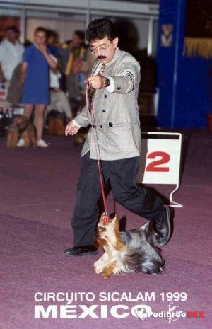 PARKSIDE'S JUST A TOUCH