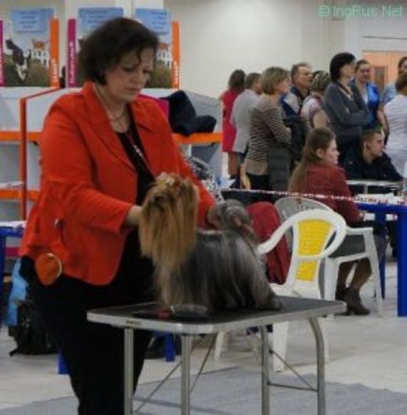 CEPELINA PUYI FUISSE