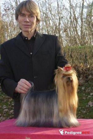 VOLGA DU DOMAINE DE MONDERLAY