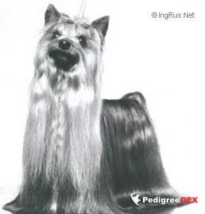 DEBONAIRE'S HIGH MUCK-A-MUCK