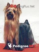 DEBONAIRE'S BELIEVE IN MUSIC