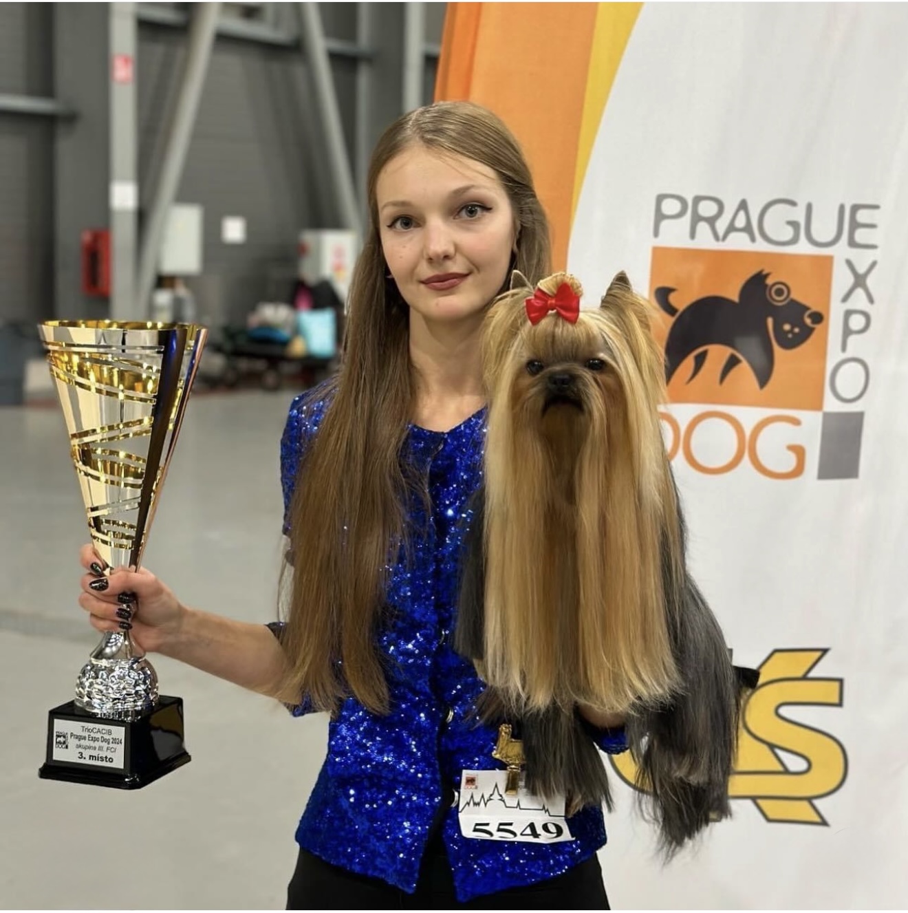 DEANJE DEANJE RENDEZVOUS WITH PASSION — Labaza DogPedigree YorkshireTerrier