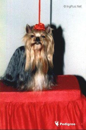 VERSION ORIGINALE DU DOMAINE DE MONDERLAY