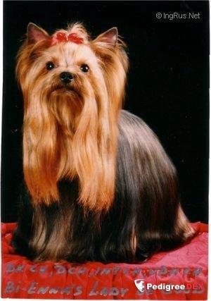 BI'ENNAS LADY BE GOOD