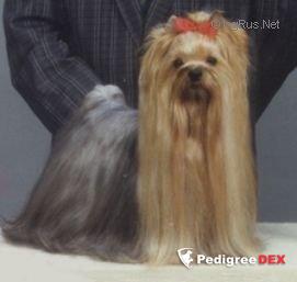 MY PRECIOUS JINGLEGIRL