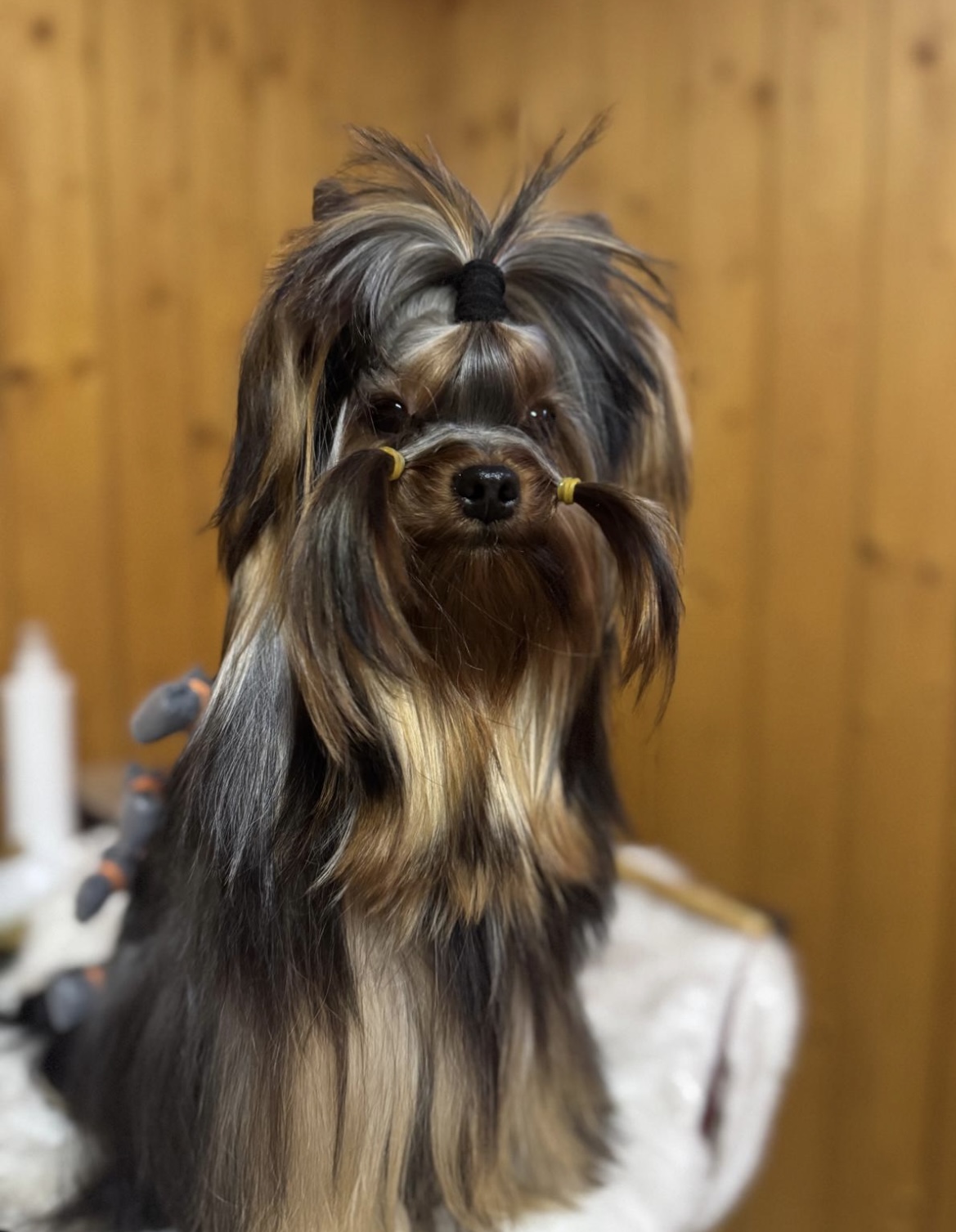 PEARL OF AFRODITA MADAME DE POMPADOUR