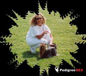 TAXI GIRL DU CASTEL D'ARGENT — Labaza DogPedigree YorkshireTerrier