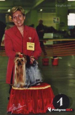 FIRACRES WHISTLE A HAPPY TUNE — Labaza DogPedigree YorkshireTerrier