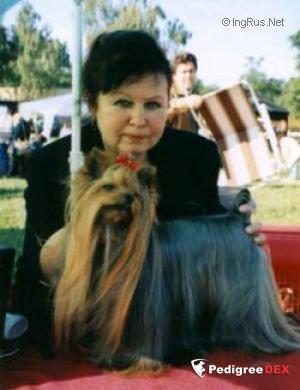 BOOMBOOMBOOM DELLE ANTICHE MURA